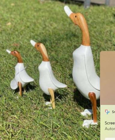 Wooden Ducks