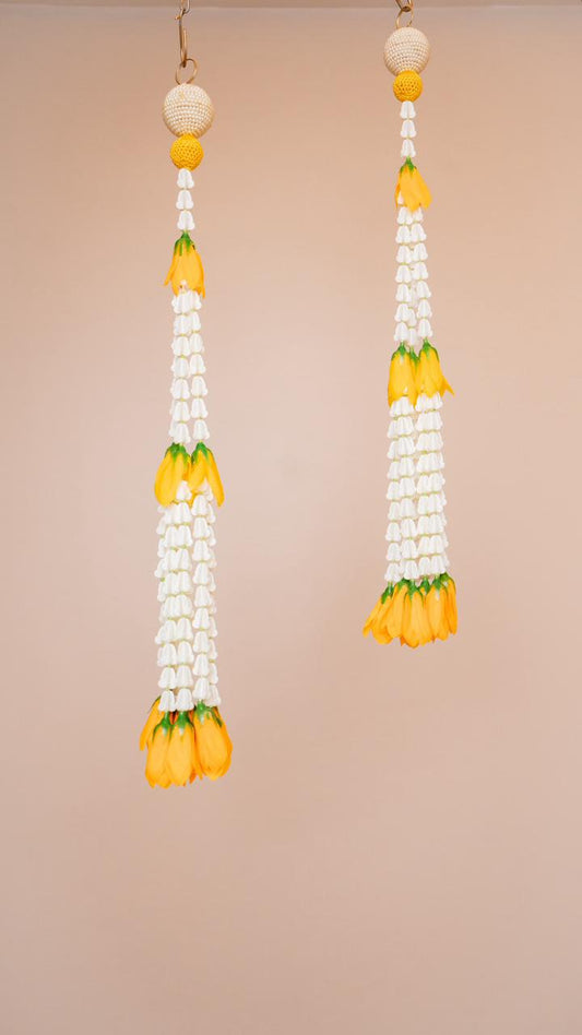 Champa Flowers