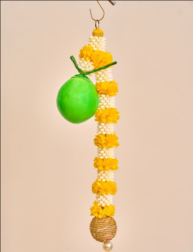 Hanging Coconut and genda