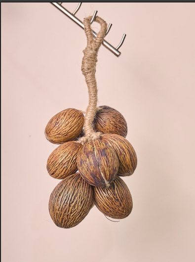Hanging Seeds