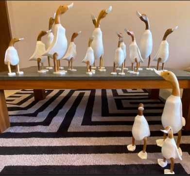 Wooden Ducks