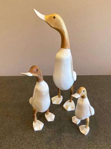 Wooden Ducks