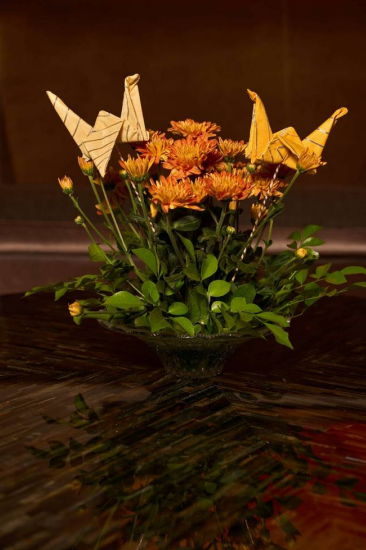 Decor Fabric Birds with gota